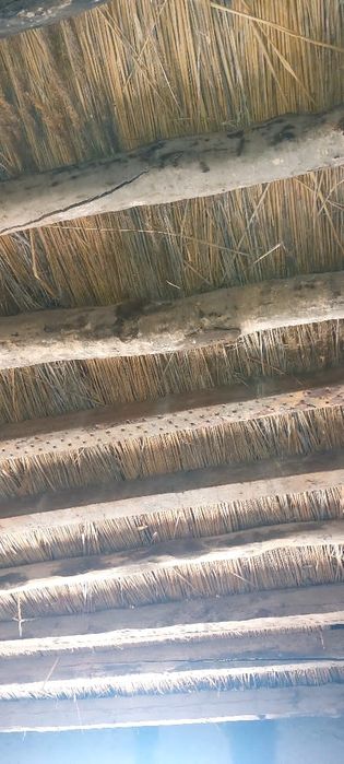 Beruniy da joy sotiladi zudlik bilan