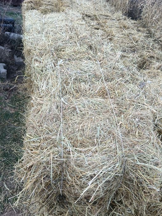 Қырдың майда шоп 1300 тенге