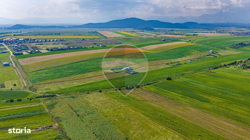Teren 1400 mp intravilan Bod/ DE VANZARE!