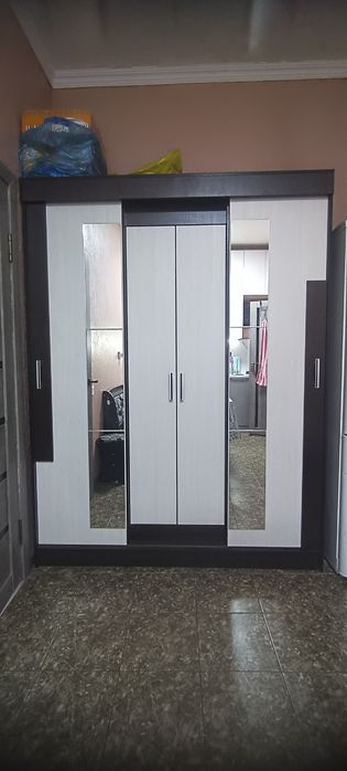 Шкаф-купе  160×210×58.1