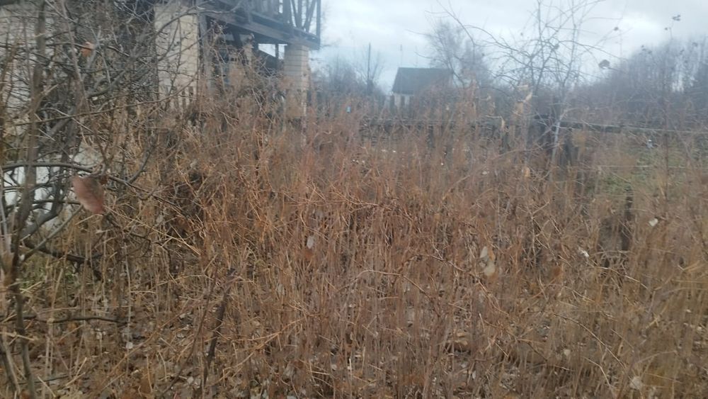 Продам Дачный участок