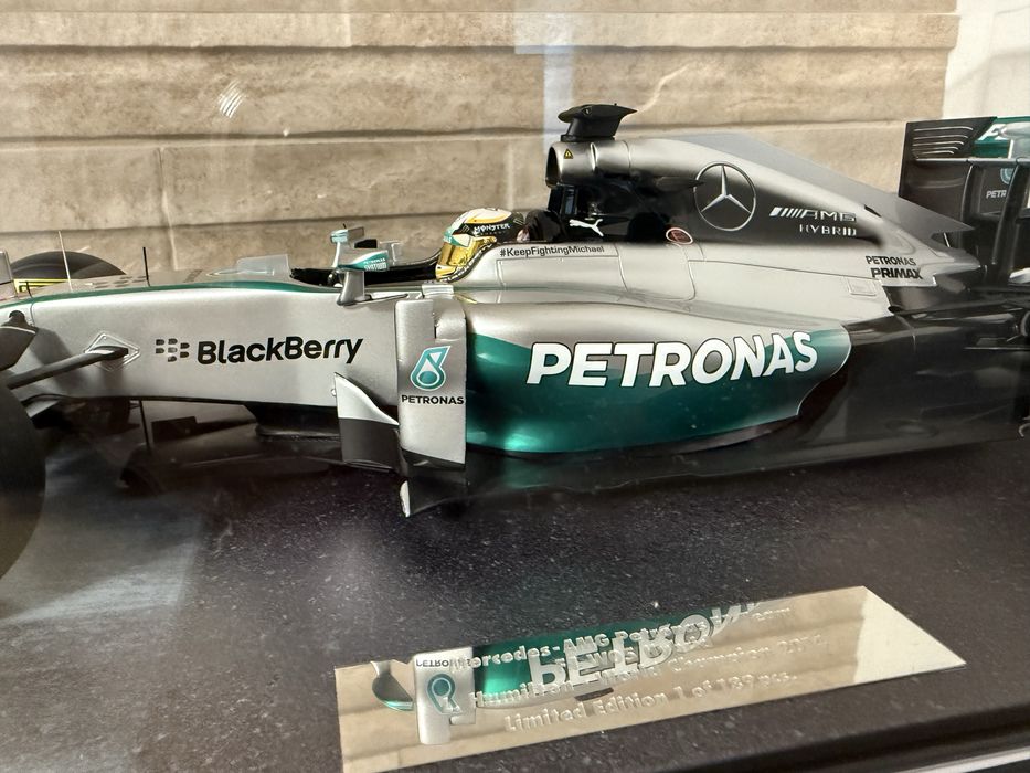 Vand macheta MercedesF1 AMG Petronas   W05 scara 1/12