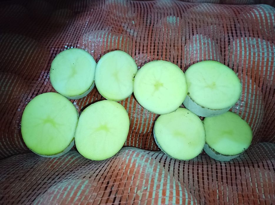 Картошка,  картофель  оптом