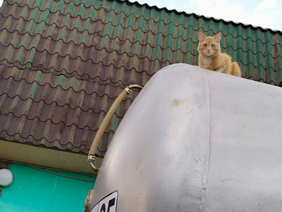 Откачка септика!!!