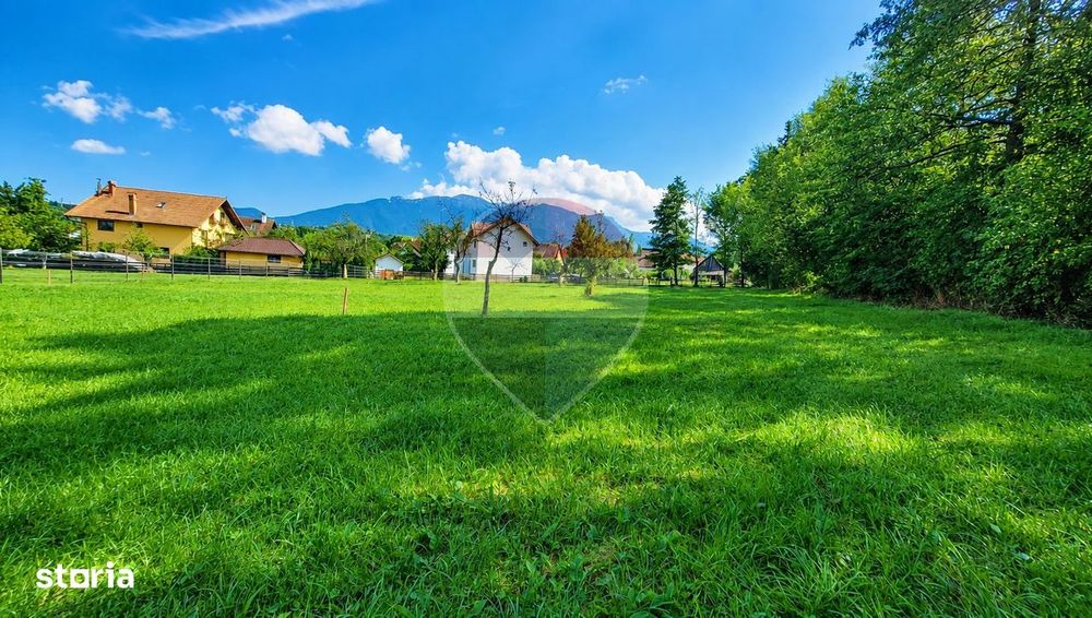 Teren intravilan 2130mp | Predelut, Brașov | La 2km de castelul Bran