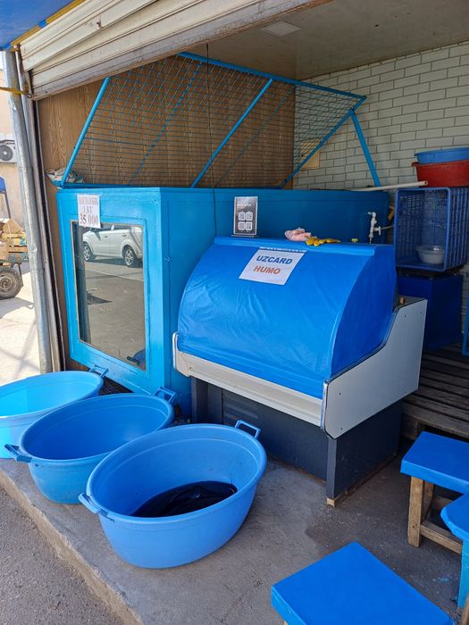 Tirik Baliqlar  Sazan tolstolobik amur pyostri v.h