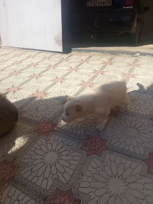 4000сатылады срочна