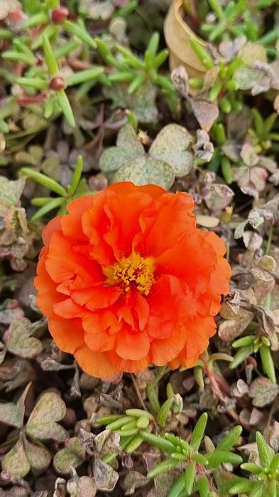 Работа бухгалтером по банку у предпринимателя