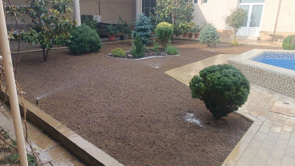 Газон посевной рулонний