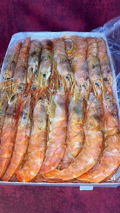 Продам морепродукты.