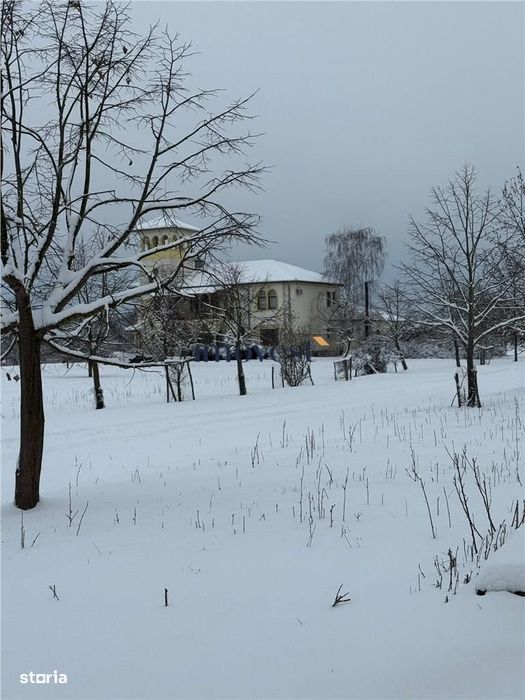 Proprietate Premium de Vanzare Castel Istoric cu Domeniu de 52.000 mp