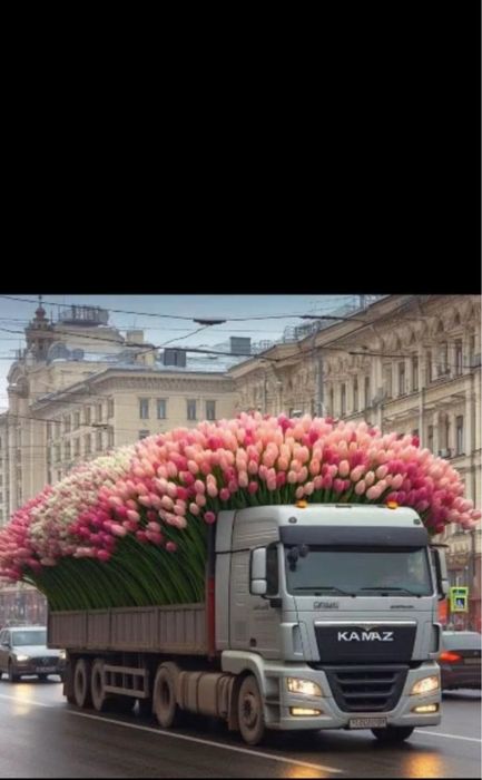 Тюльпаны голландия