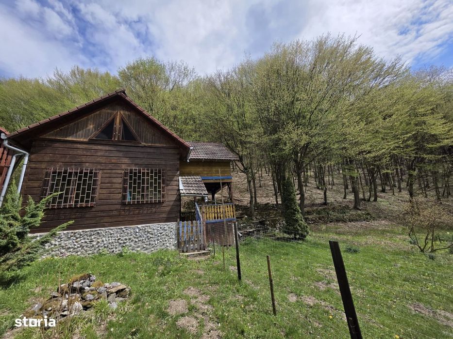 Cabana Iezer Ighiel – panorama superba, liniste si potential de inve