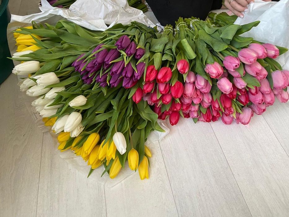 Тюльпаны оптом и в розницу