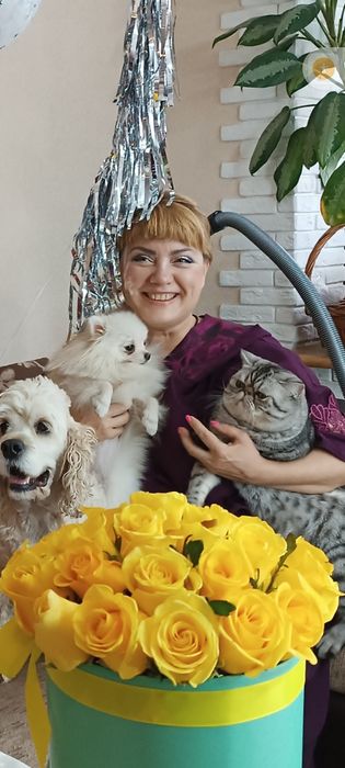 Передержка домашних животных