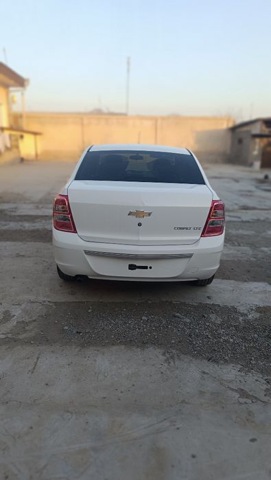 Cobalt Gx Style 2025-yil