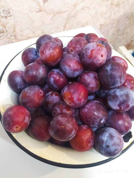 Слива китайская «Ванетта»