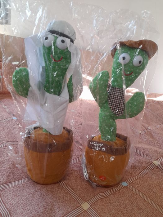 Cactus de vânzare