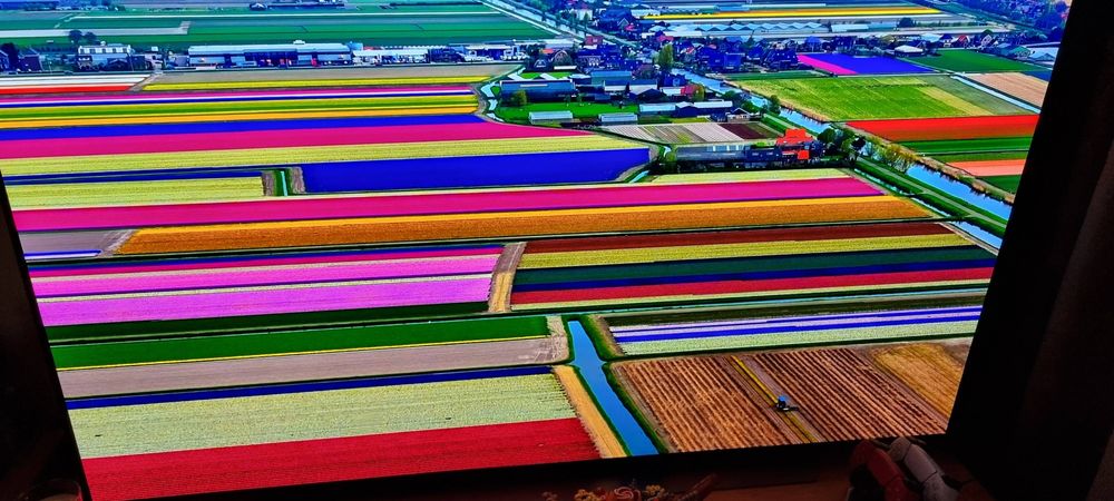 Телевизор LG OLED 65CX