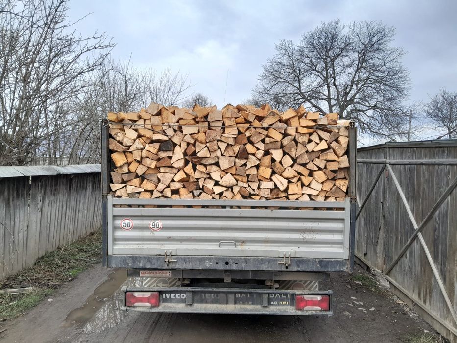 Lemne de foc fag