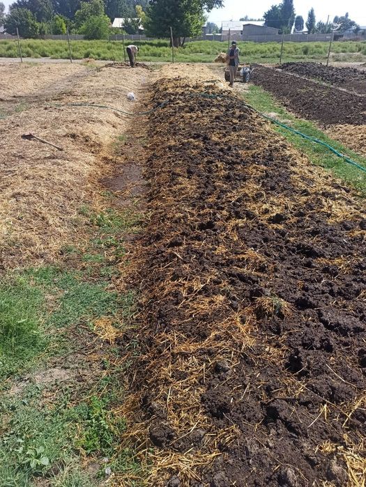 Биогумус натуральный, хорошего качества. По оптовым ценам! Скидка!