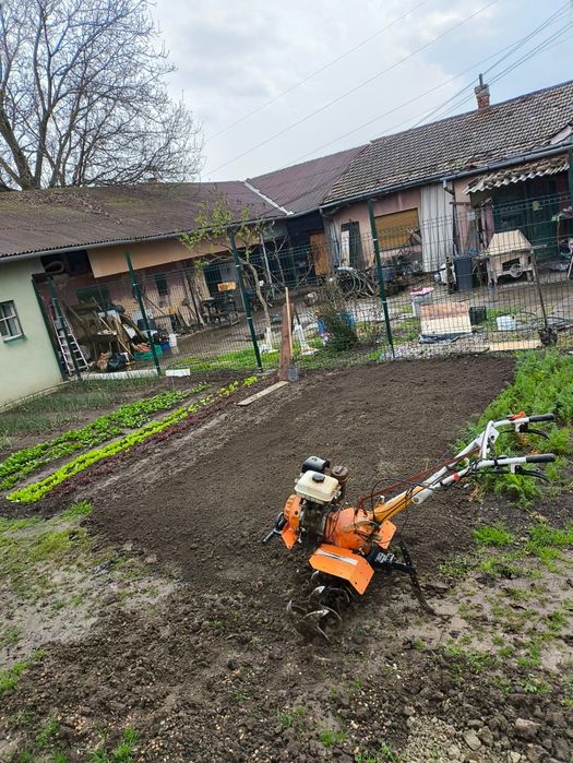 Amenajări peisagistice, gazon, pregătire teren