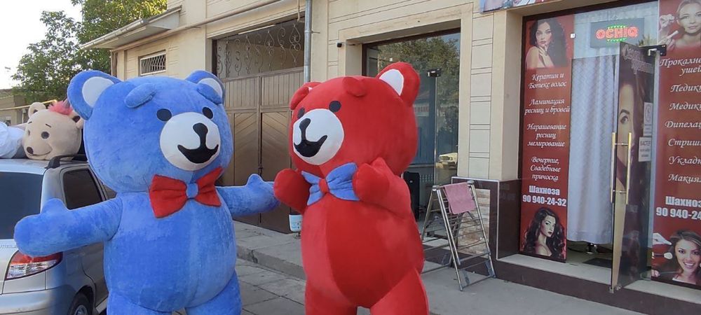 Kotta ayiqlar Sotilad