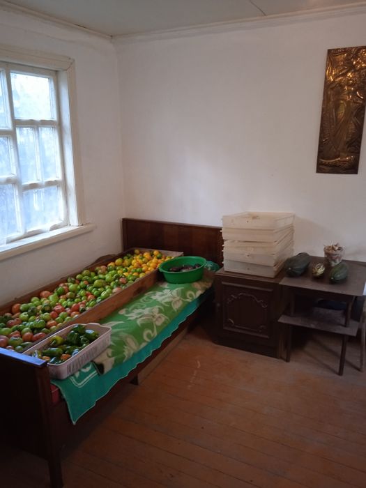 Продам дачу в обществе "Садовод"