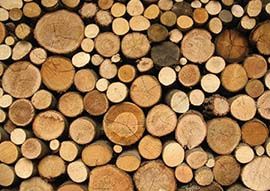 Lemne de foc cu transport gratuit