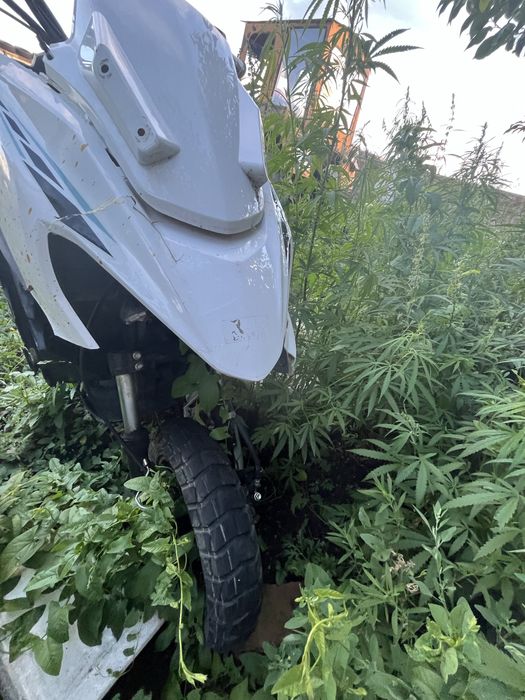 Продам скутер макси