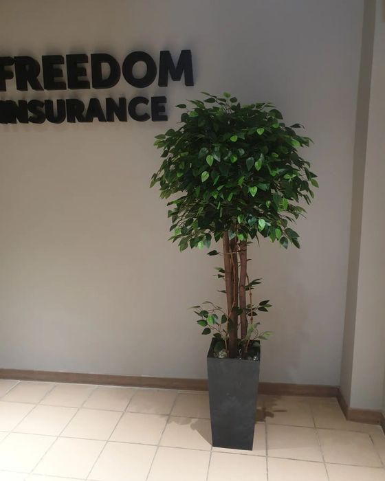 Искусственные Деревья (Костанай )