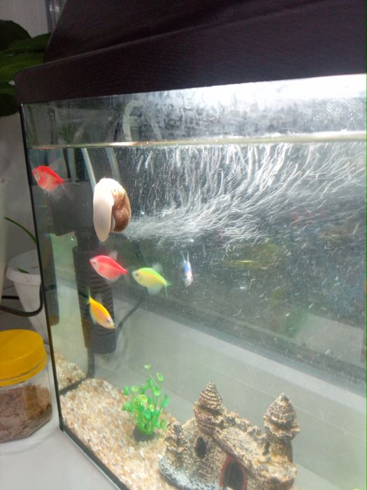 Аквариум с рыбками