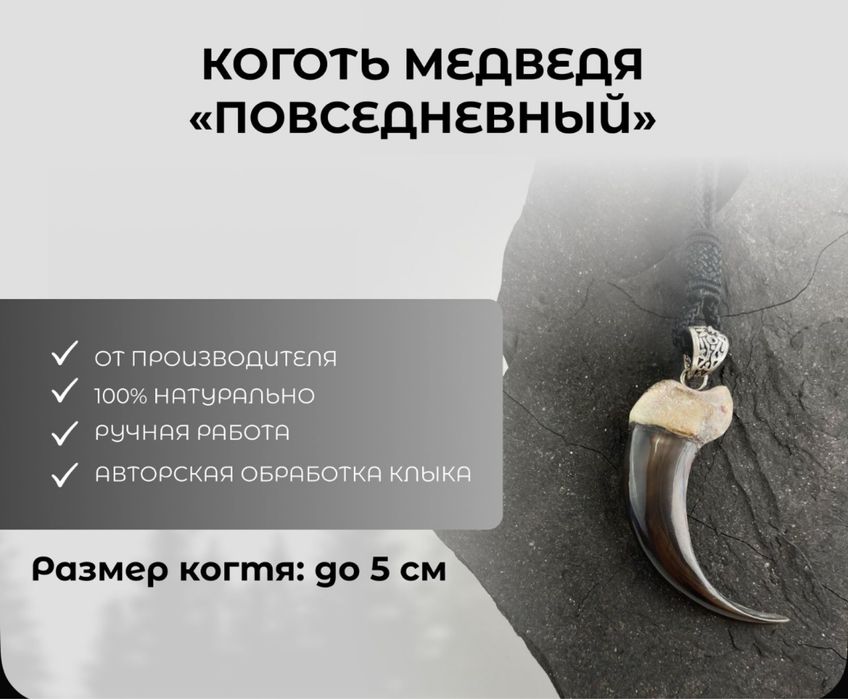 Продам Коготь медведя