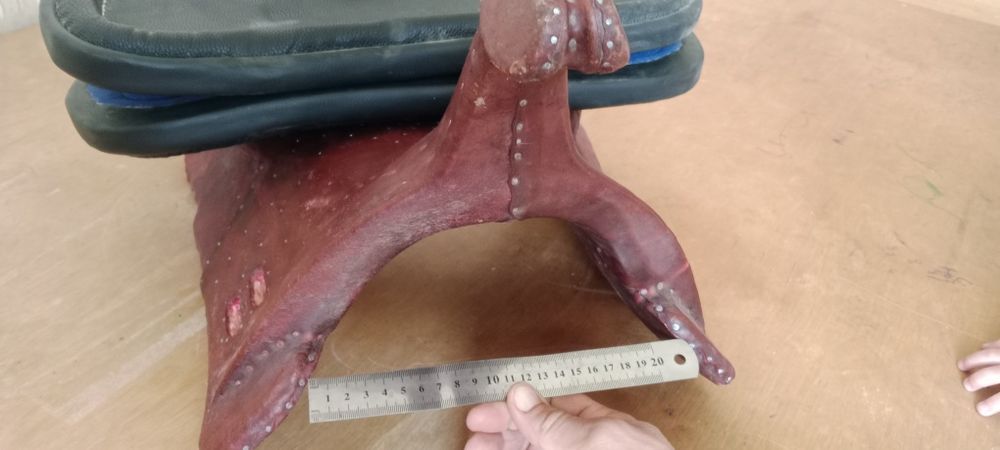 Көкпар ері желдігімен