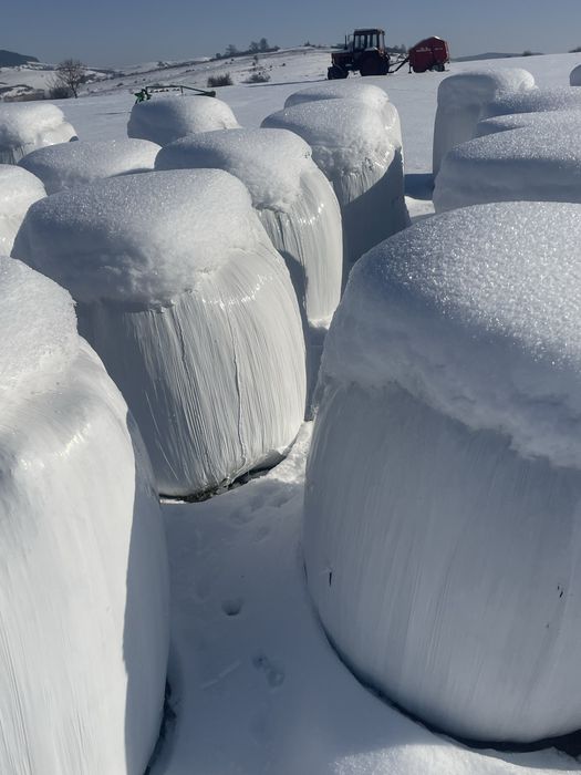 Vand bolalot de lucerna