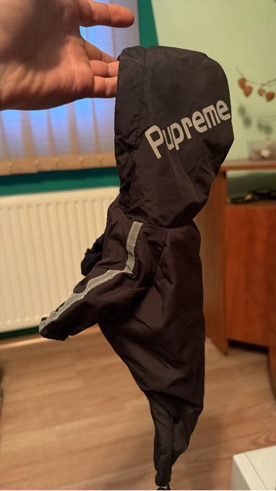 Hainute catei diferite modele si alte accesorii