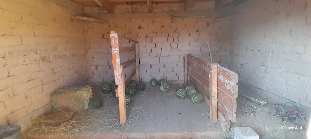 Туймекент ауылында үй сатылады