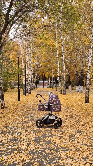 Коляска детская Cosatto Ooba (2 в 1)