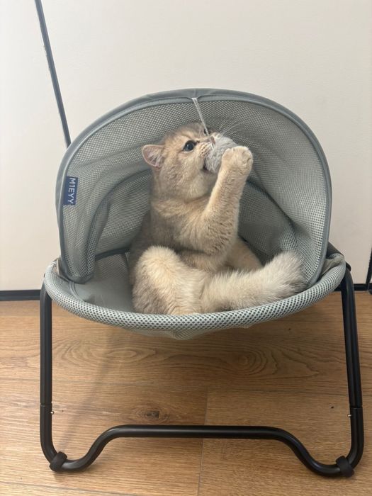 Продам лежанку для кота