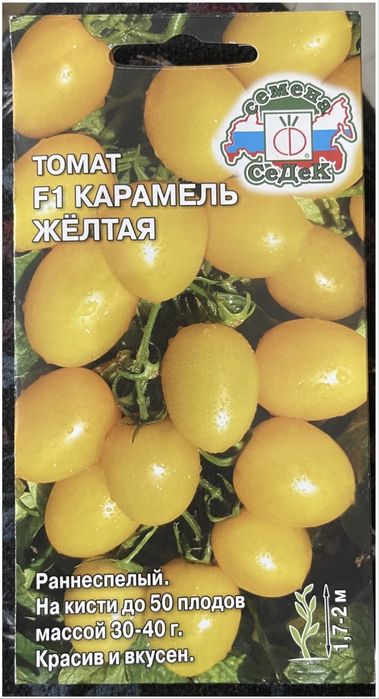Рассада томатов крепкая