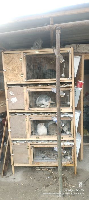 Quyonlar uchun katak (ko‘p qavatli)