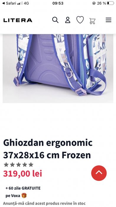 Penar si ghiozdan Elsa