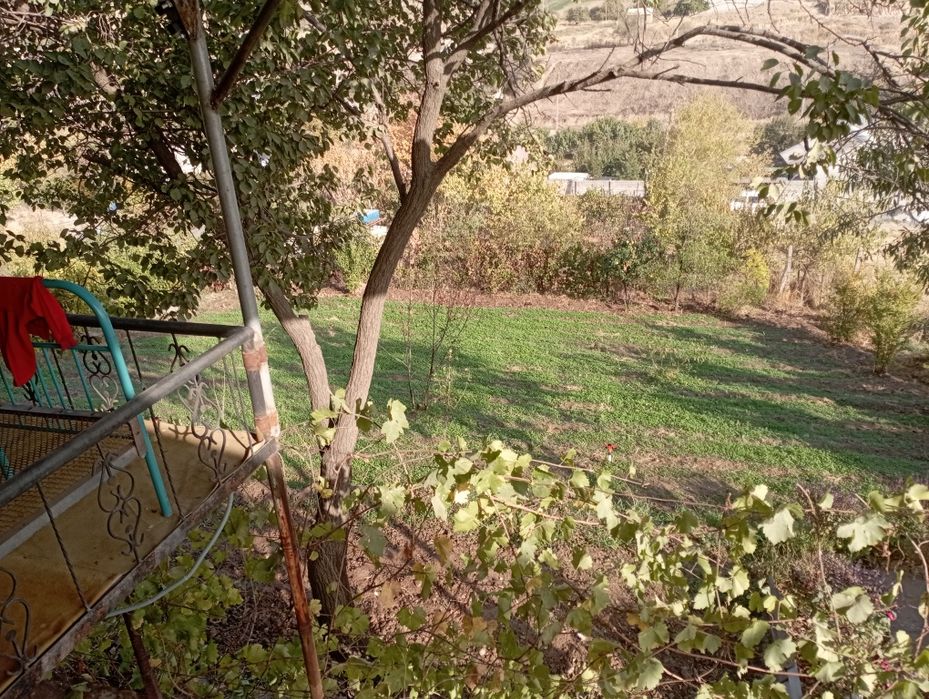 Dacha sotiladi 12 soʻtiq