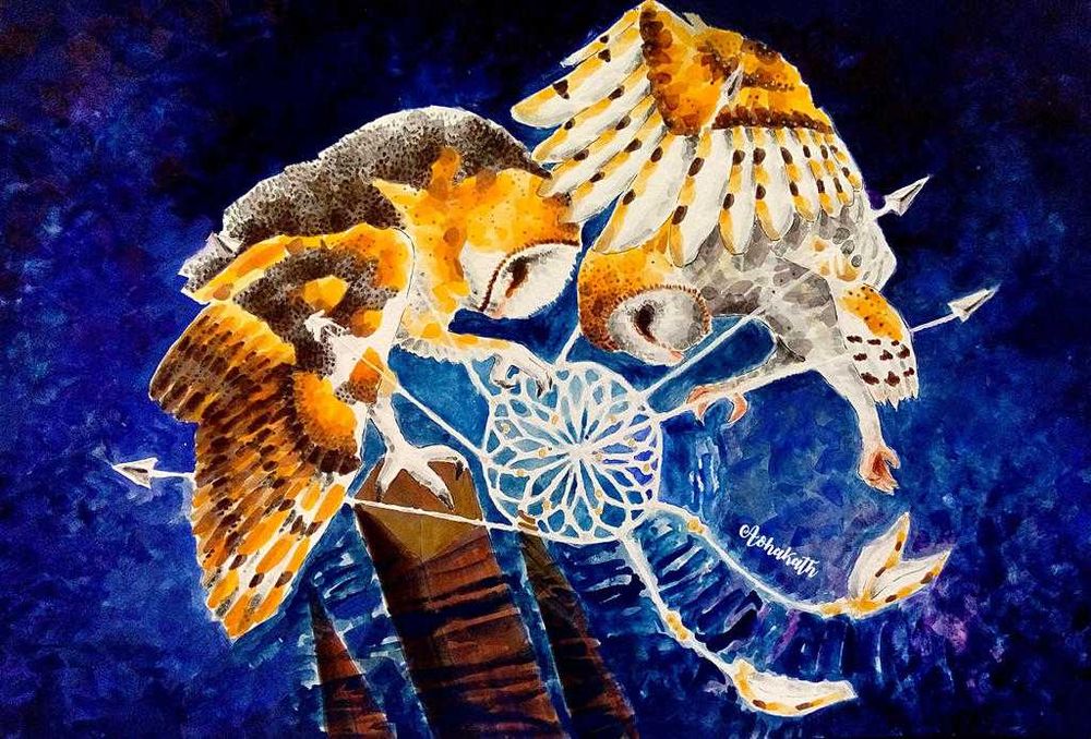 Meditatii desen/pictura pentru elevi si adulti