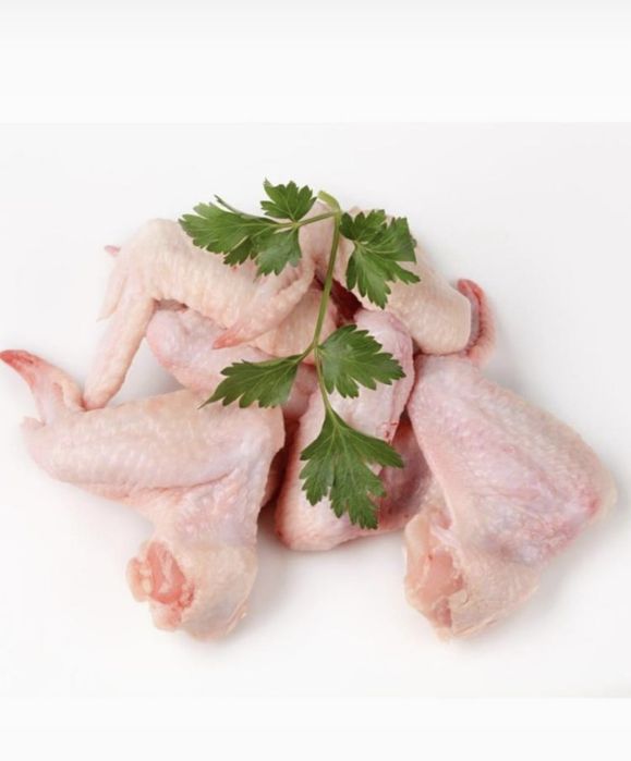 Bruller tovuq goʻshti halol va pokiza