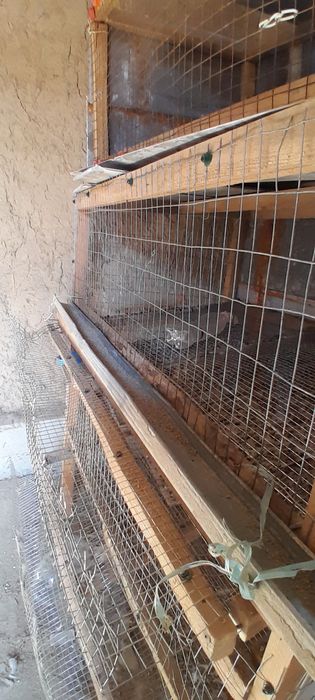 Бөденеге жәше несушаға арналғанклетка