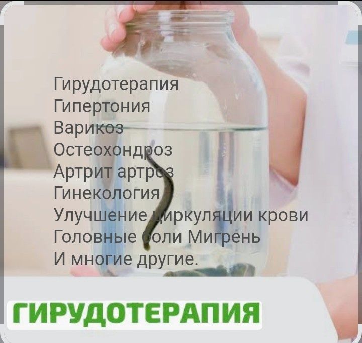 Лечение пиявками Суликпен емдеу