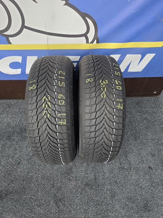 215 60 17 nexen m+s