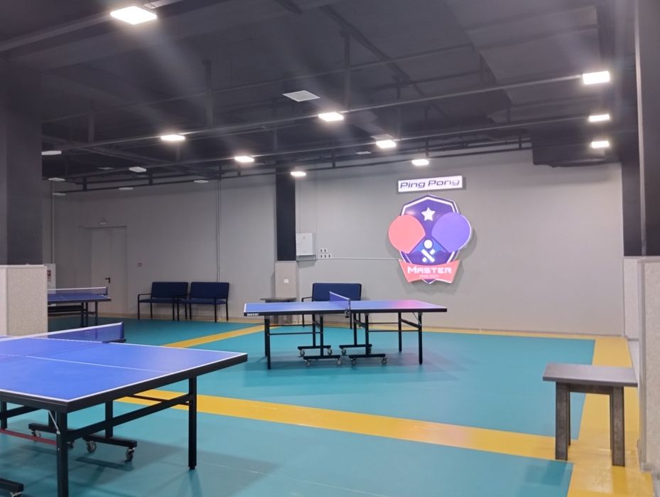 Настольный теннис в Ташкенте. Ping pong master