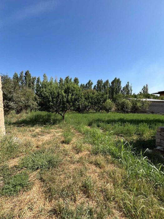 11.7 sotix yer sotiladi orentir bozsuv most SROCHNA